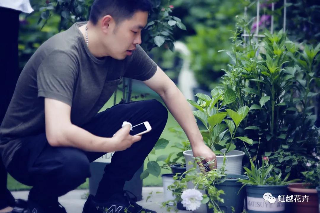 史上最硬核花園主，是怎樣拿下三年繡球比美冠軍的？