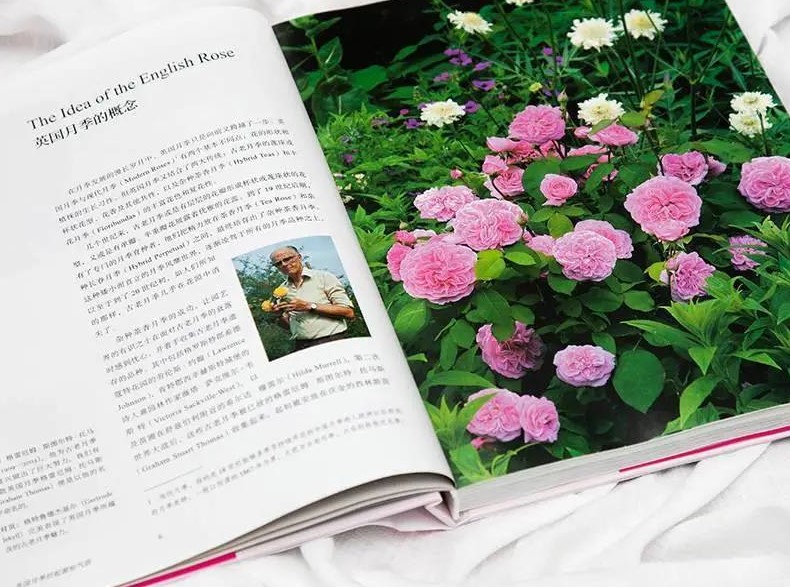 首發(fā)出版！這本大衛(wèi)奧斯汀親筆的“玫瑰圣經(jīng)”終于引進(jìn)了