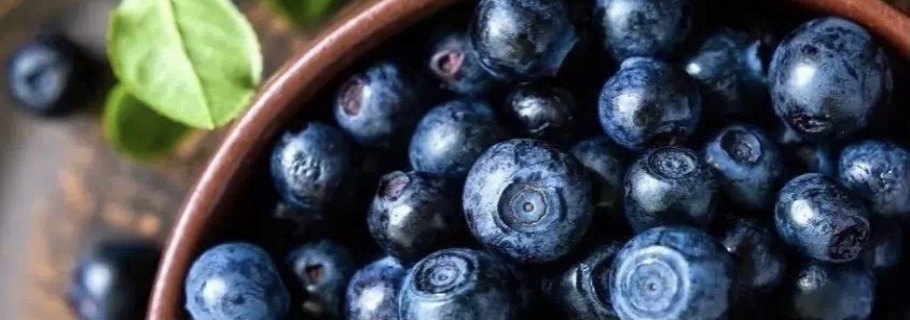 想要從0開始學(xué)種藍(lán)莓？這份“大神指南”送給你~