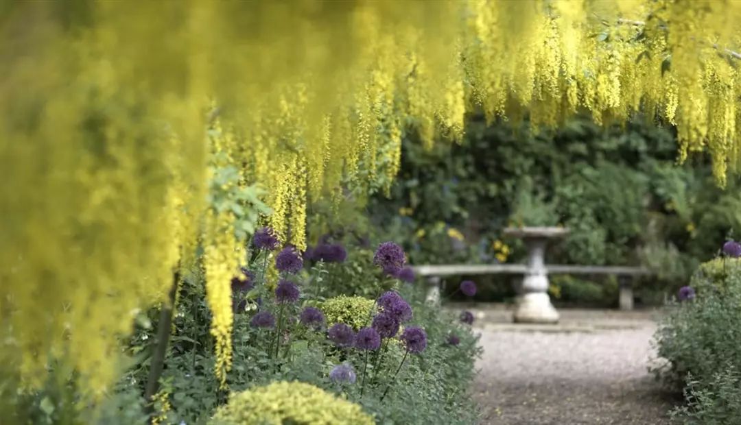 他為妻子打造最美坡地花園，驚艷世界80年