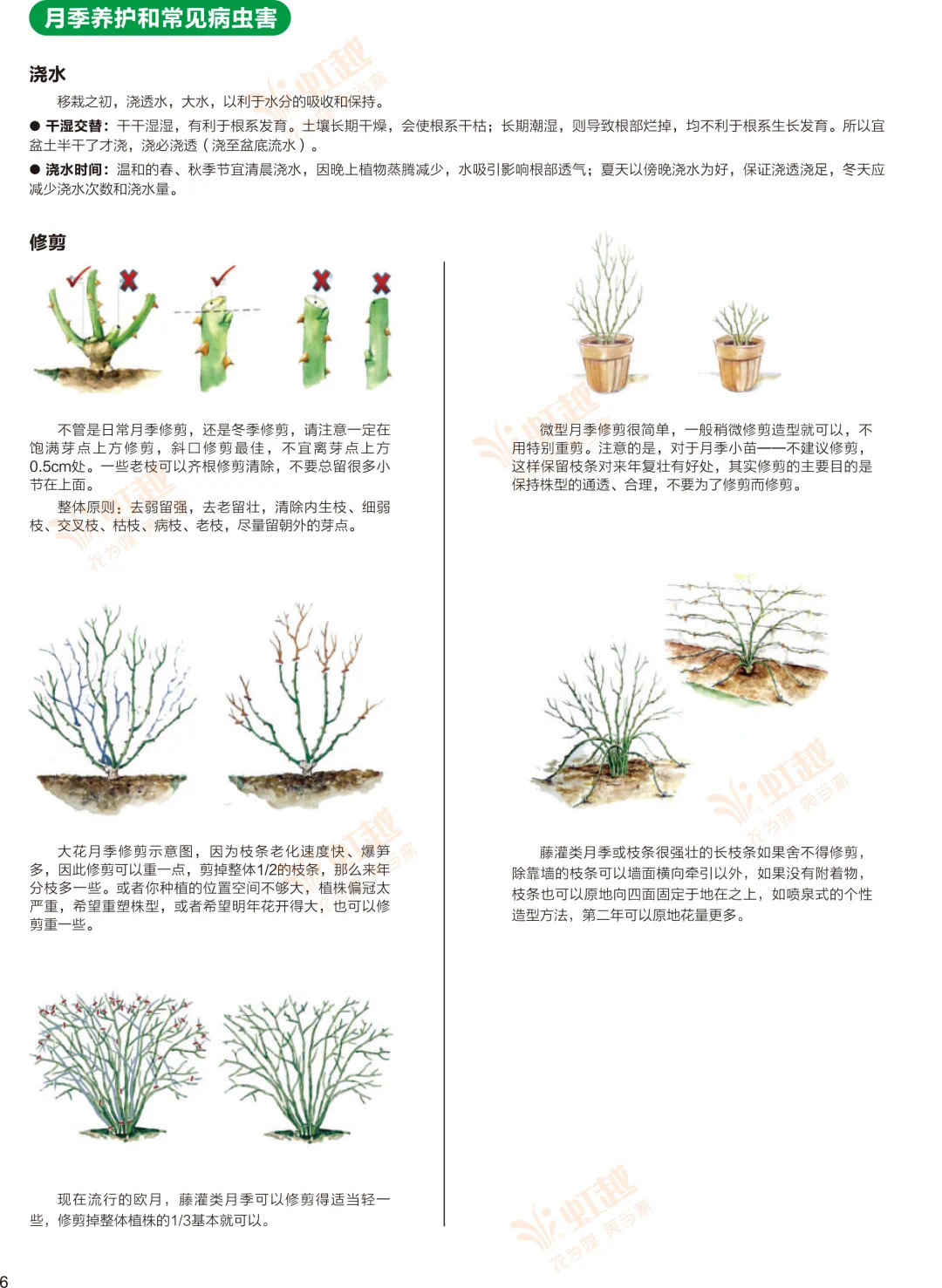 1610011736737546.jpeg WechatIMG613.jpeg