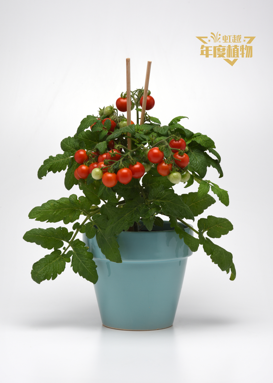 1622425555165207.jpg preview1.jpg