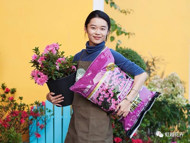 1705893652171451.png 4fb7dba685f03f49fca0fcb3c5261d5b.png